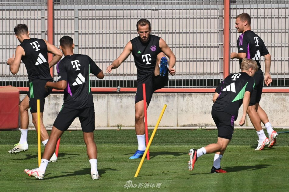 化最佳人选 化最佳人选