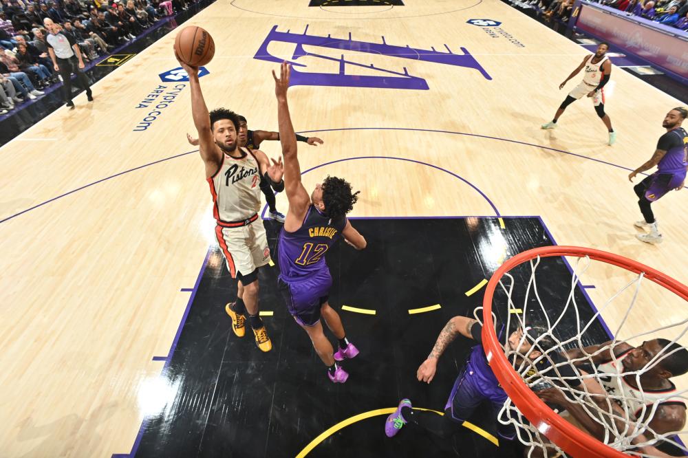 球迷和年轻 球迷和年轻